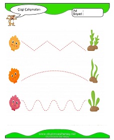 Çizgi Çalışma Sayfaları